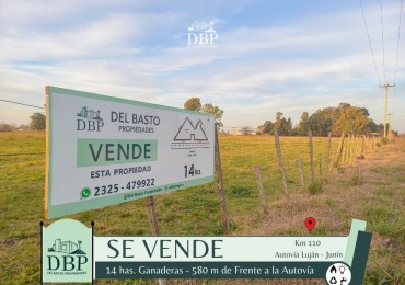 Se Venden 14 hectareas
